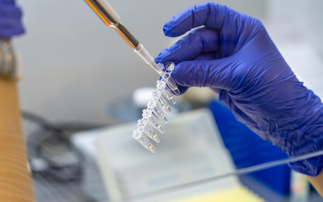 Le modifiche al Codice di procedura penale: il profilo DNA